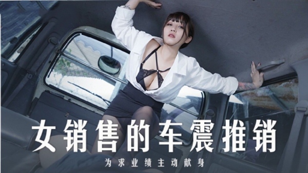 女销售的车震推销